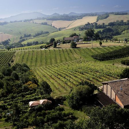 La Ca Dal Non Bioagriturismo - Alpenice Savignano sul Panaro Eksteriør bilde