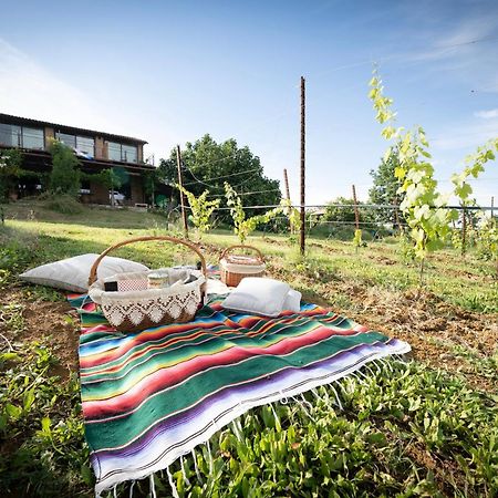 La Ca Dal Non Bioagriturismo - Alpenice Savignano sul Panaro Eksteriør bilde