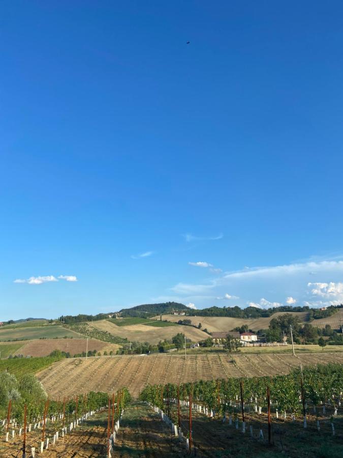La Ca Dal Non Bioagriturismo - Alpenice Savignano sul Panaro Eksteriør bilde