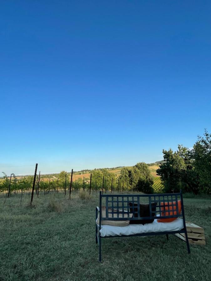 La Ca Dal Non Bioagriturismo - Alpenice Savignano sul Panaro Eksteriør bilde
