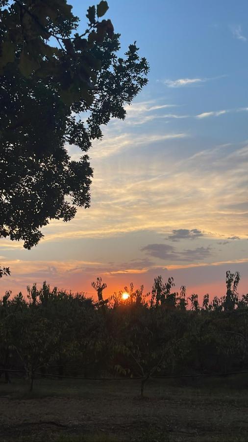 La Ca Dal Non Bioagriturismo - Alpenice Savignano sul Panaro Eksteriør bilde
