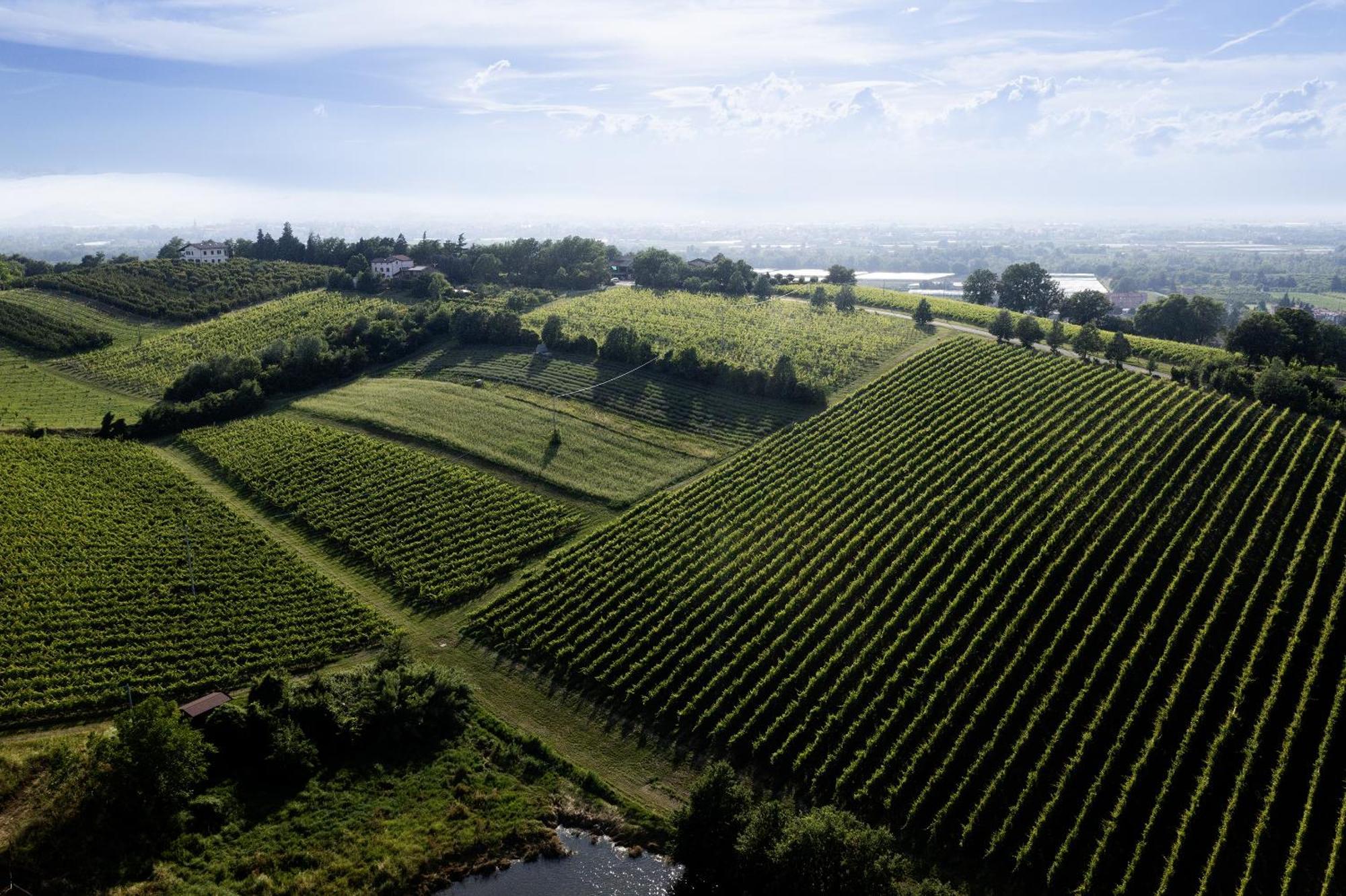 La Ca Dal Non Bioagriturismo - Alpenice Savignano sul Panaro Eksteriør bilde