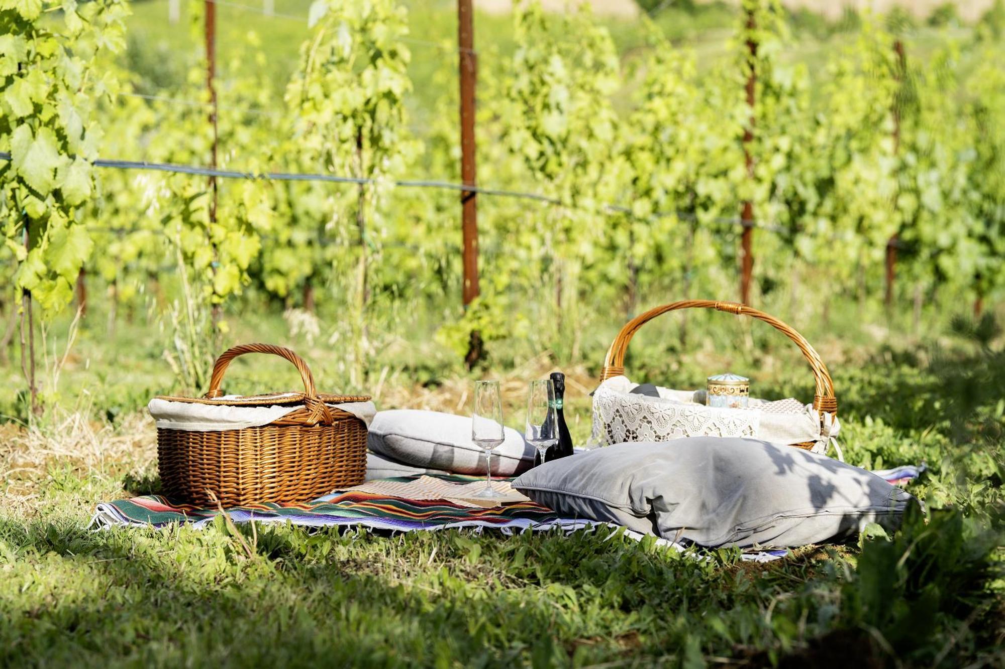 La Ca Dal Non Bioagriturismo - Alpenice Savignano sul Panaro Eksteriør bilde