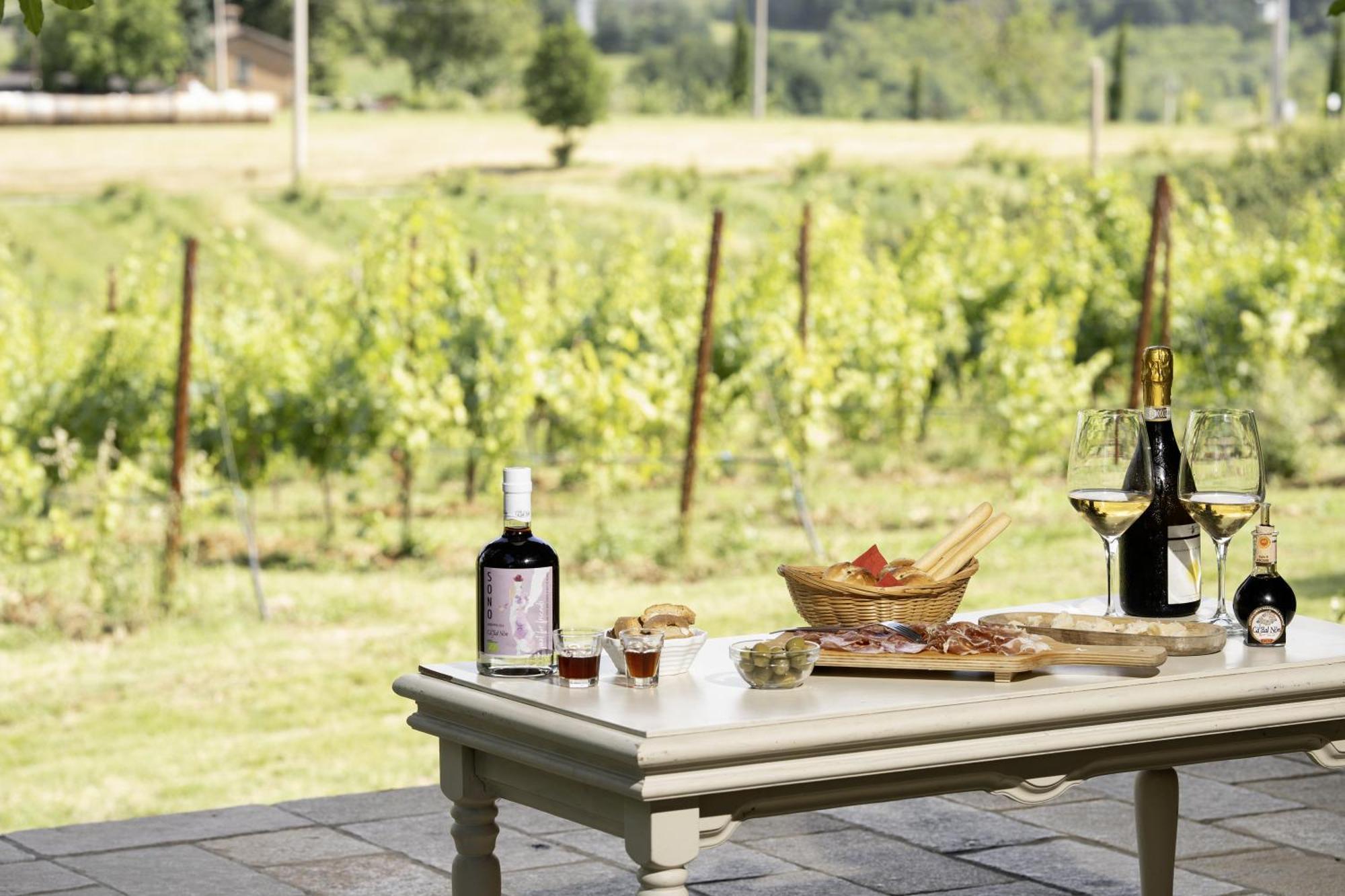 La Ca Dal Non Bioagriturismo - Alpenice Savignano sul Panaro Eksteriør bilde