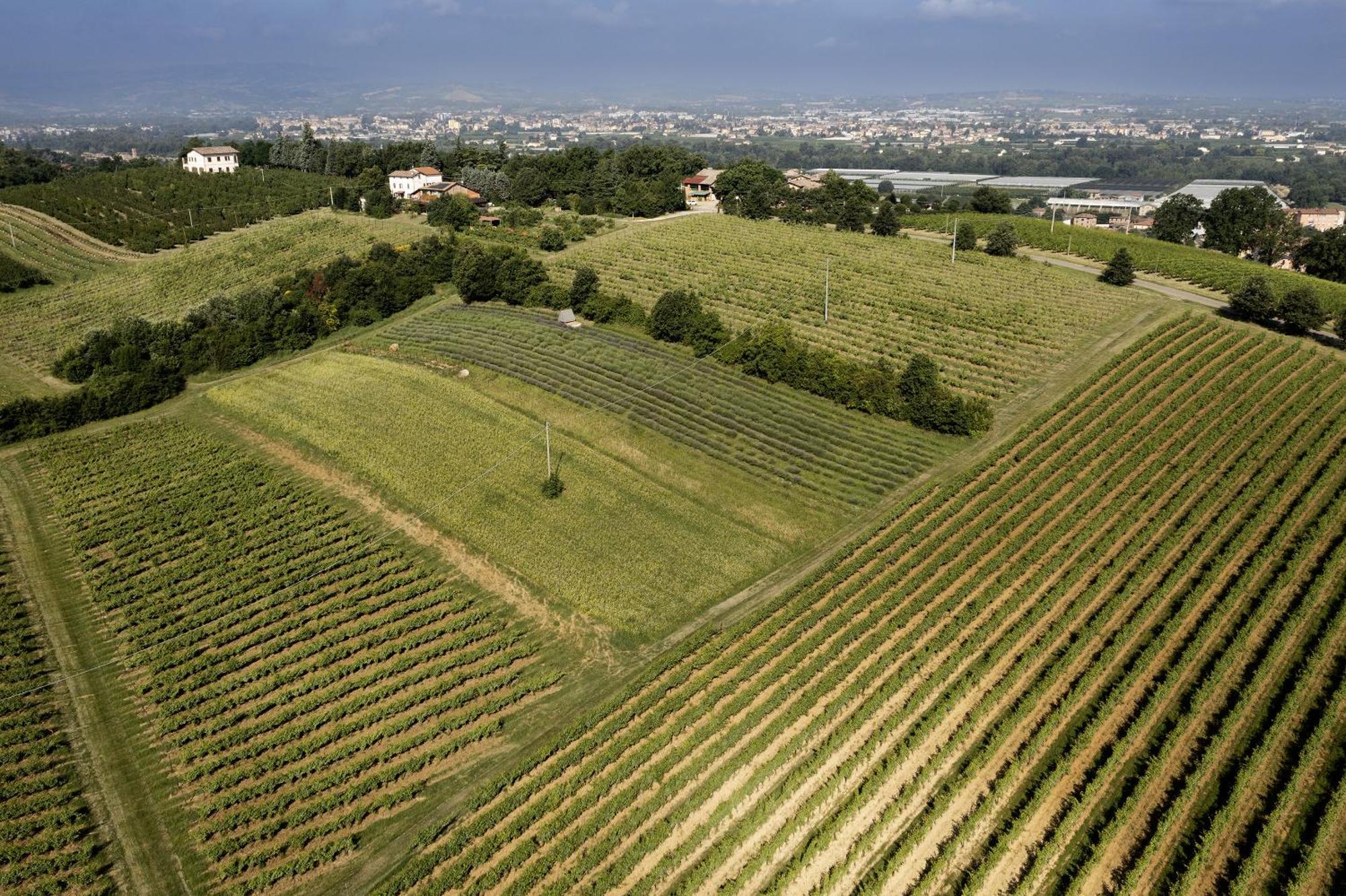 La Ca Dal Non Bioagriturismo - Alpenice Savignano sul Panaro Eksteriør bilde
