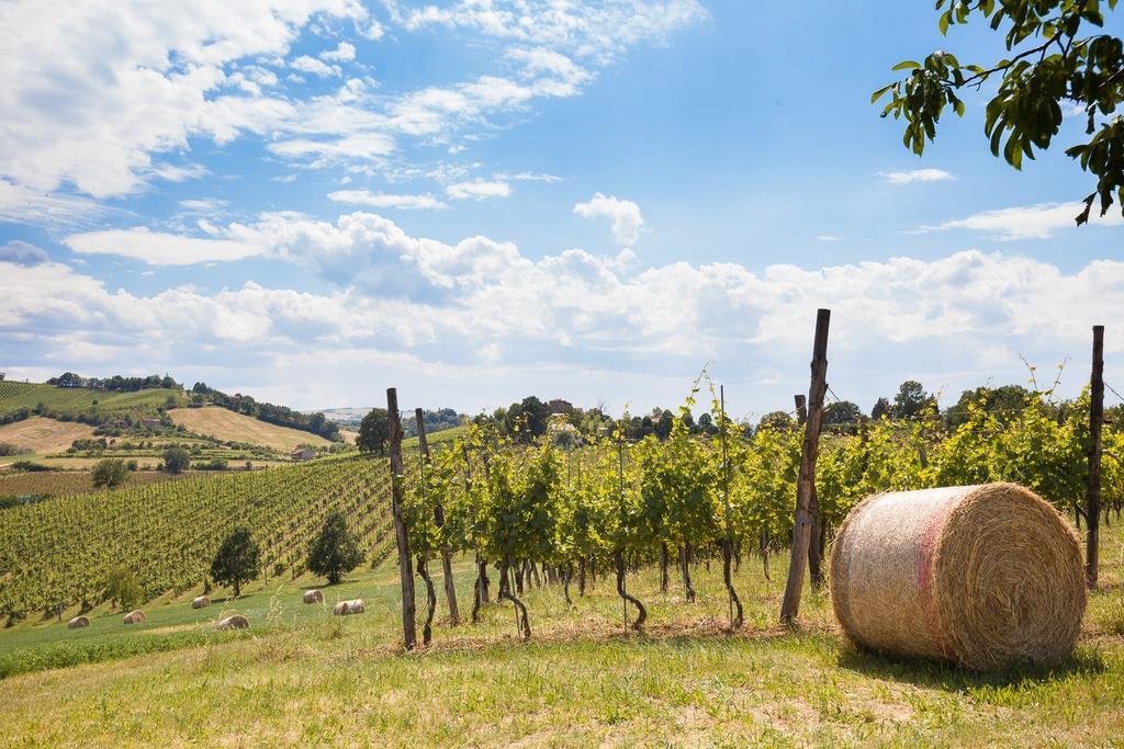 La Ca Dal Non Bioagriturismo - Alpenice Savignano sul Panaro Eksteriør bilde