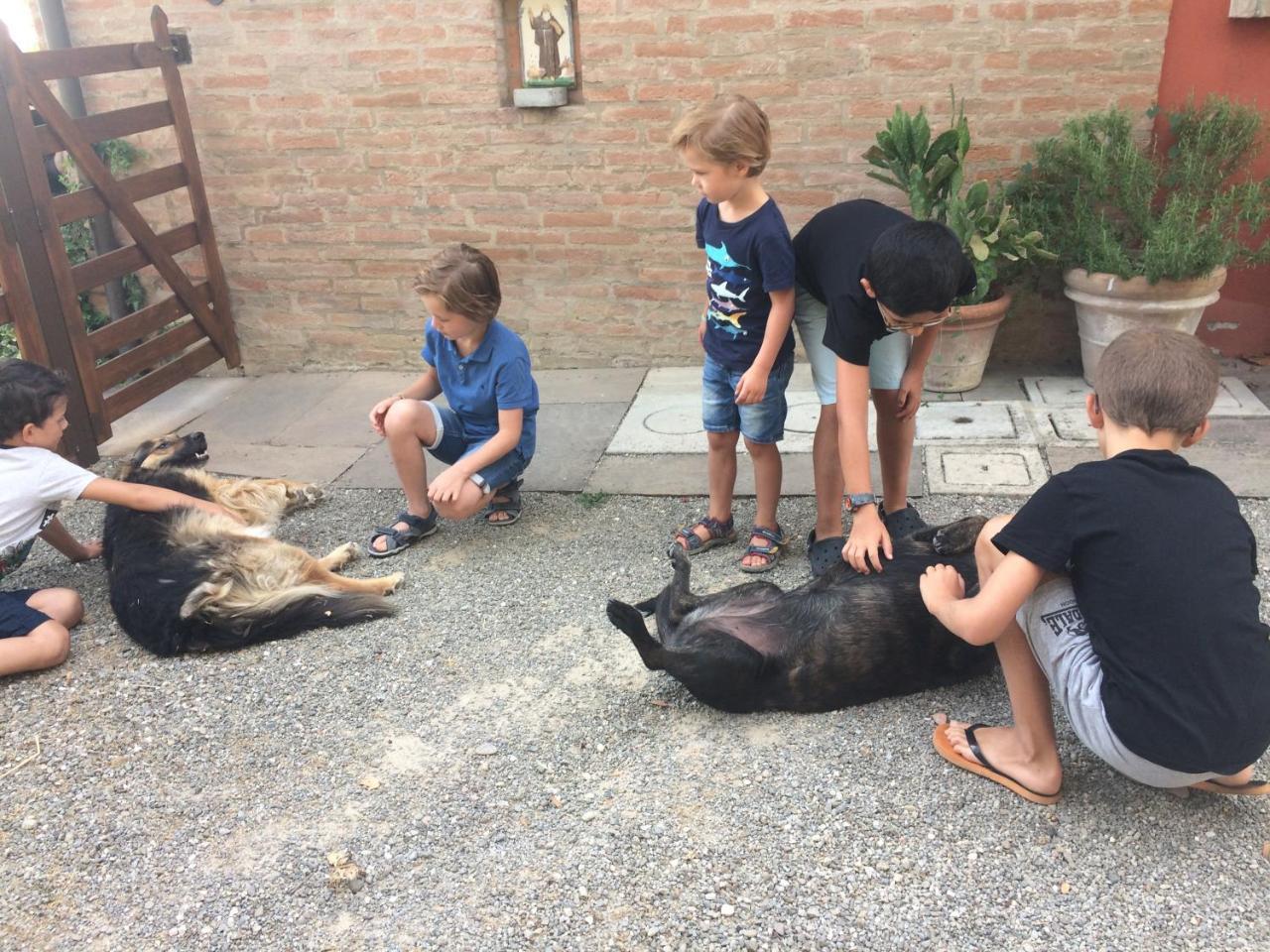 La Ca Dal Non Bioagriturismo - Alpenice Savignano sul Panaro Eksteriør bilde